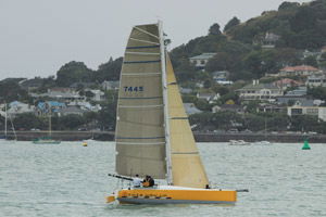 catamaran4