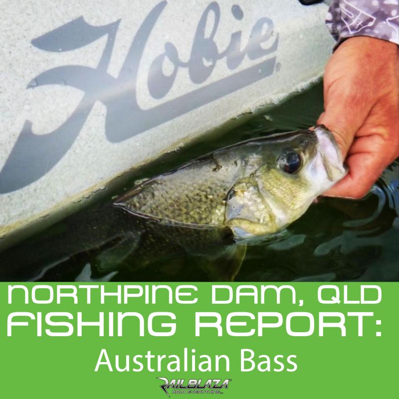 Catching Australian Bass in deeper water : North Pine Dam, Brisbane Australia